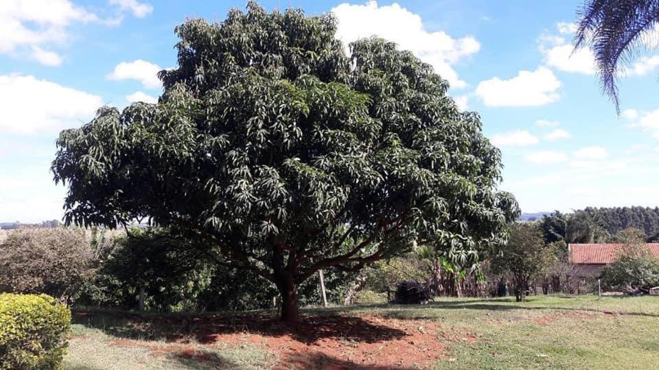 Sitio Em Atibaia - Sitio Beija-Flor 빌라 외부 사진